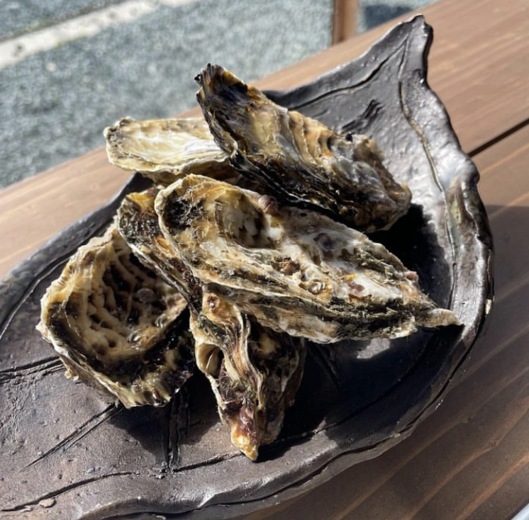 【炉ばた地鶏山嵐】10月より牡蛎をスタートします‼